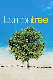 Lemon Tree' Poster