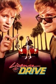 License to Drive' Poster