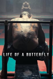 Life of a Butterfly' Poster