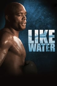 Anderson Silva Like Water' Poster