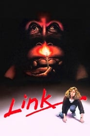 Link' Poster