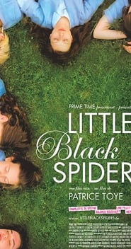 Little Black Spiders' Poster