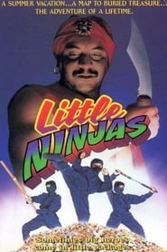 Little Ninjas' Poster
