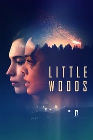 Streaming sources forLittle Woods
