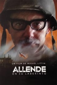Allende en su laberinto' Poster