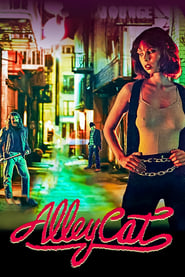 Alley Cat' Poster