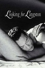 Looking for Langston' Poster