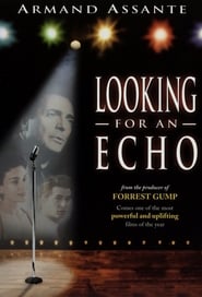 Looking for an Echo' Poster