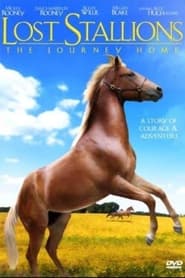 Lost Stallions The Journey Home' Poster