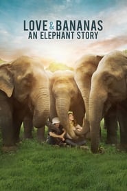 Streaming sources forLove  Bananas An Elephant Story