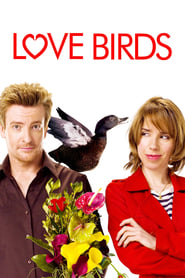 Love Birds' Poster