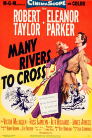 Many Rivers to Cross' Poster