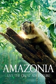 Streaming sources forAmazonia
