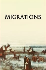 Migrations' Poster