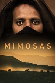 Mimosas' Poster