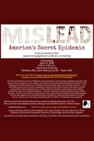 MisLead Americas Secret Epidemic' Poster