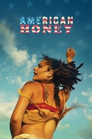 Streaming sources forAmerican Honey