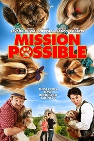 Mission Possible' Poster