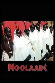 Moolaad' Poster