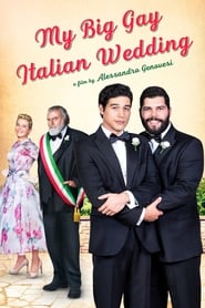 Streaming sources forMy Big Gay Italian Wedding