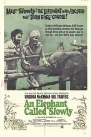 Streaming sources forAn Elephant Called Slowly