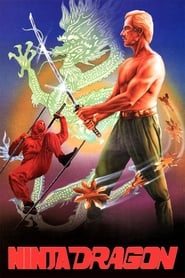 Ninja Dragon' Poster