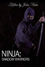 Ninja Shadow Warriors' Poster