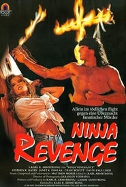 Ninja Vengeance' Poster