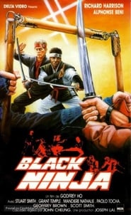 Ninja Silent Assassin' Poster