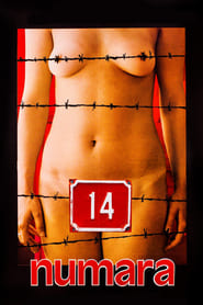 Number 14' Poster