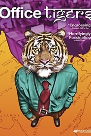 Office Tigers' Poster