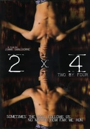 2 By 4' Poster