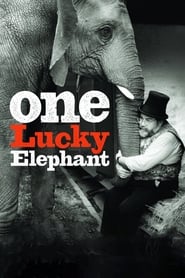 Streaming sources forOne Lucky Elephant