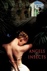 Streaming sources forAngels and Insects