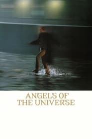 Angels of the Universe' Poster