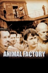 Animal Factory' Poster