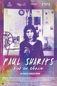 Paul Sharits' Poster