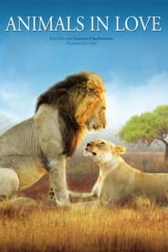 Animals in Love' Poster