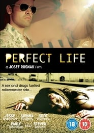 Perfect Life' Poster