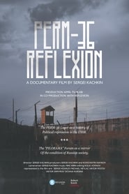 Perm36 Reflexion' Poster