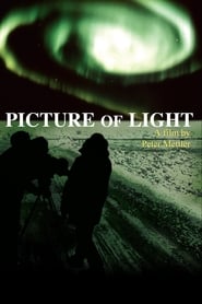 Picture of Light' Poster