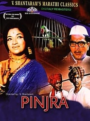 Pinjra' Poster