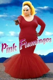 Pink Flamingos' Poster