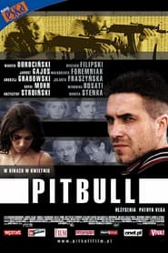 Streaming sources forPitbull