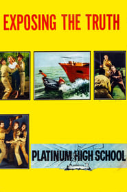 Platinum High School' Poster