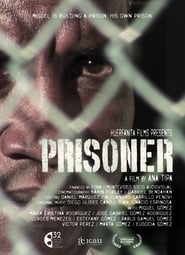 Prisoner' Poster