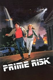 Prime Risk' Poster