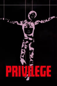 Privilege' Poster