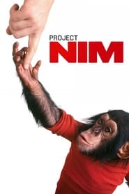 Streaming sources forProject Nim