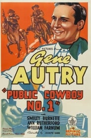 Public Cowboy No 1' Poster